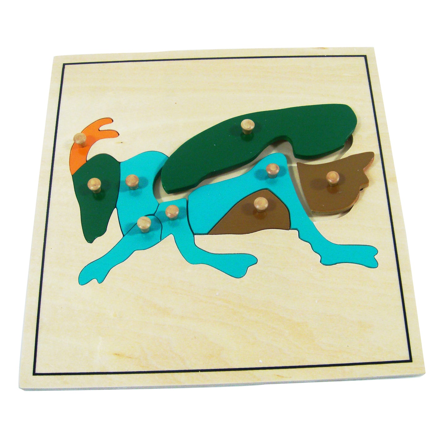 Cricket Puzzle