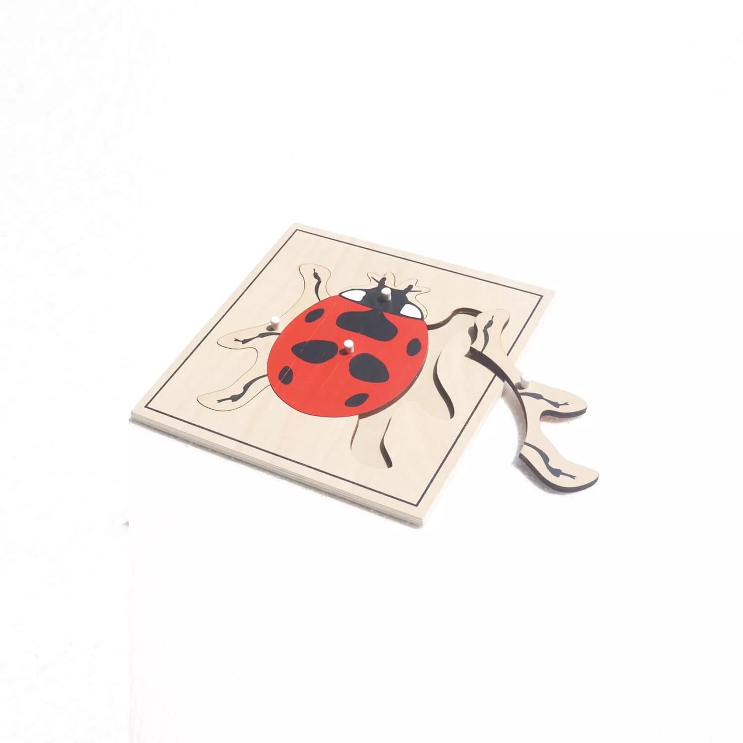 Ladybug Puzzle