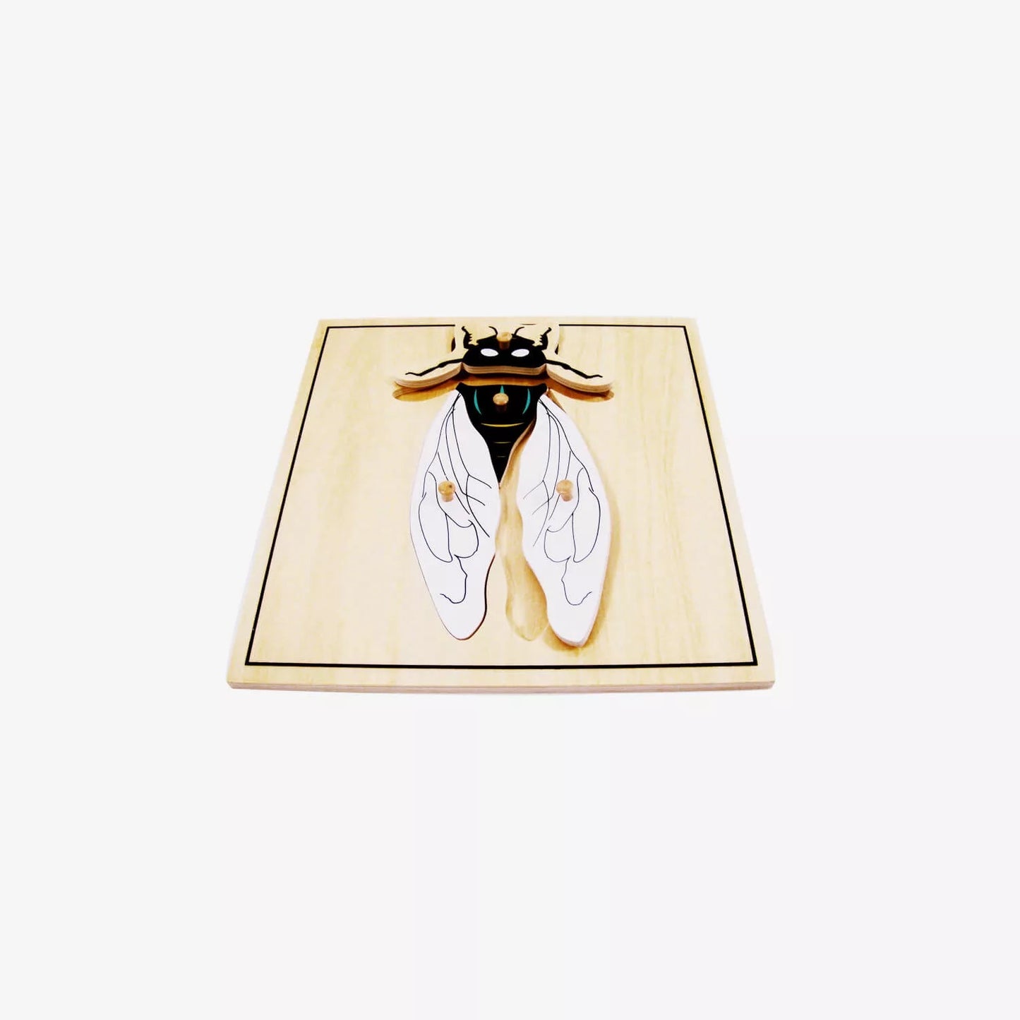 Fly Puzzle