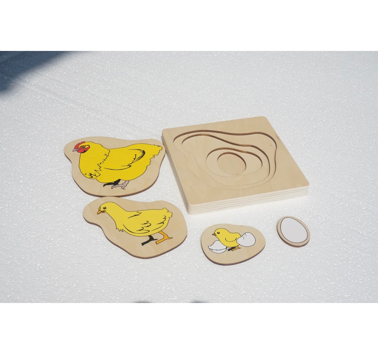 Life Cycle of a Chicken Puzzle