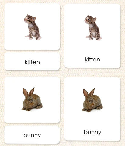 Pets 3-Part Language Cards