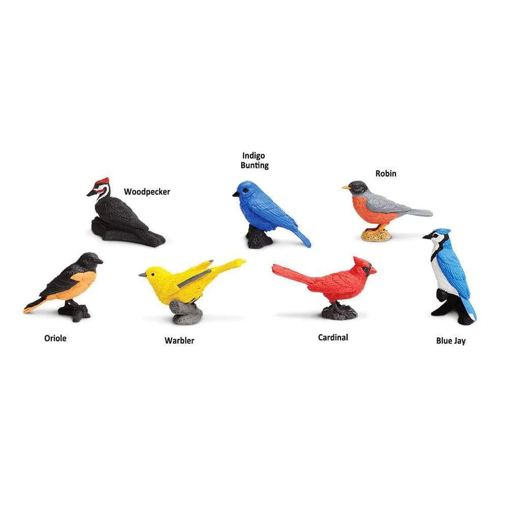 Birds TOOB®