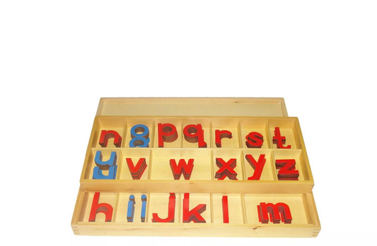Large Moveable Alphabet with Box