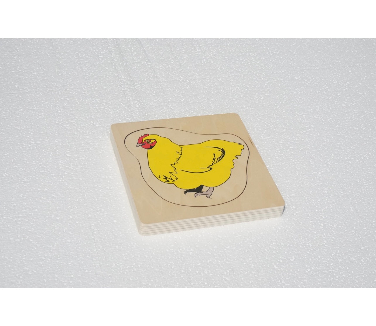 Life Cycle of a Chicken Puzzle
