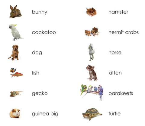 Pets 3-Part Language Cards