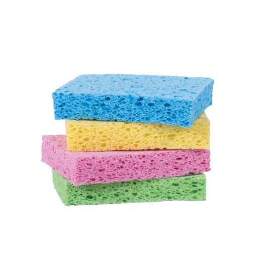 Colourful Sponges