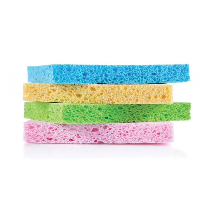 Colourful Sponges