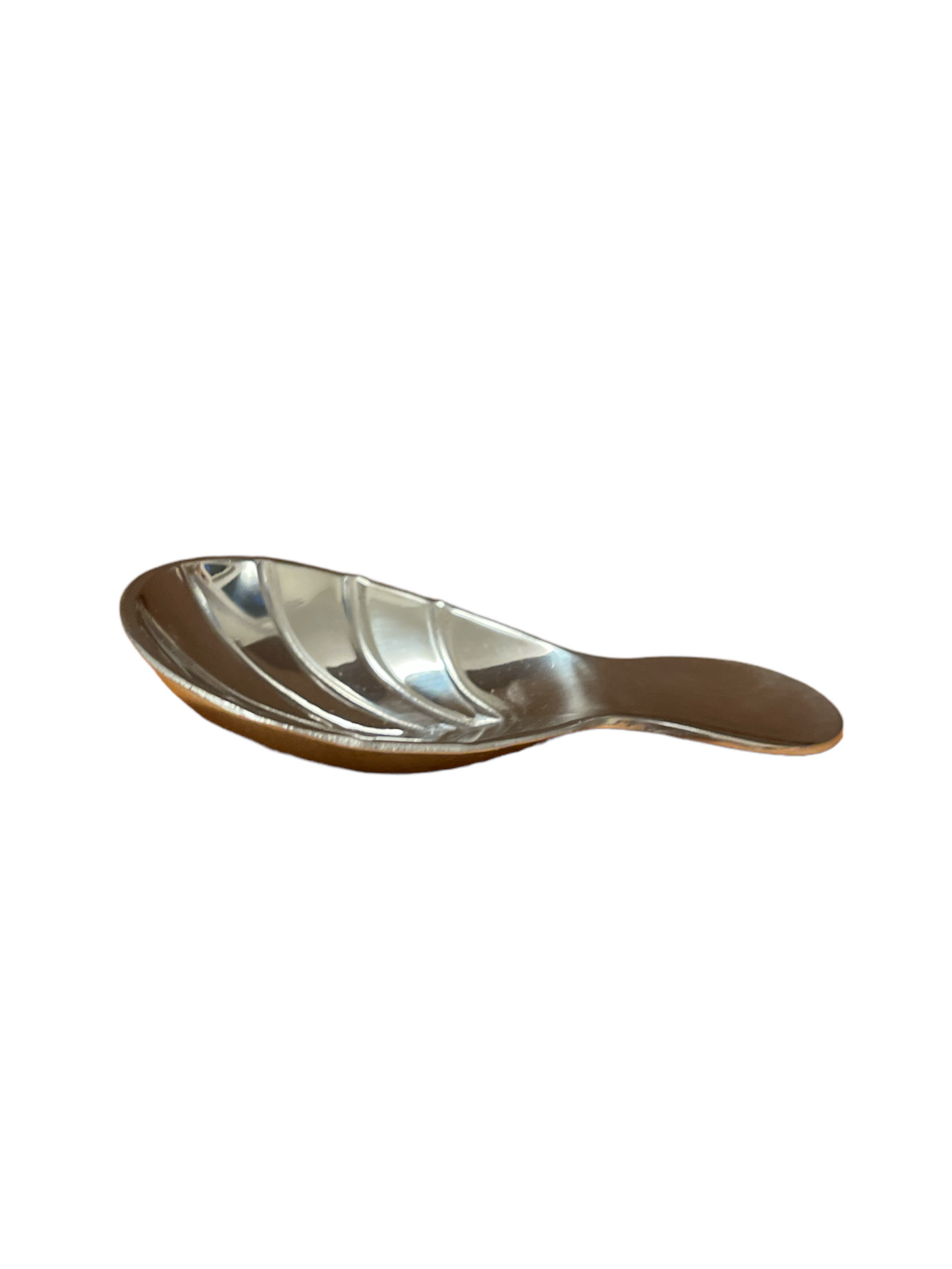 Stainless Steel Scoop